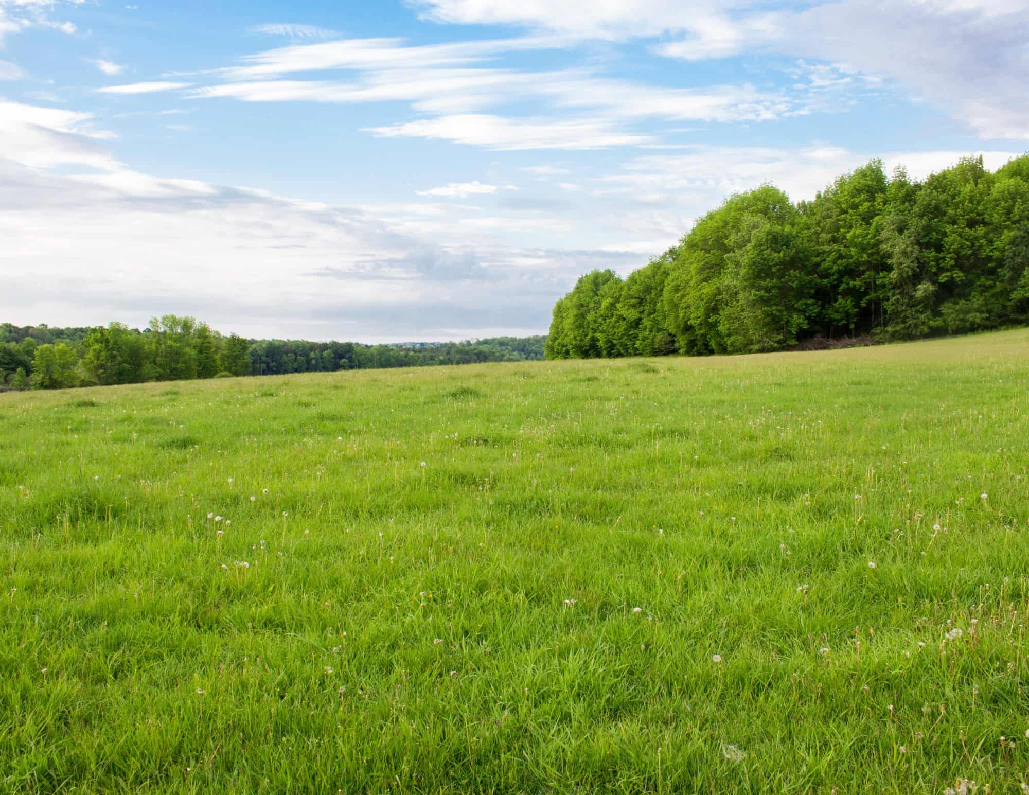 Power Land Group Leadership